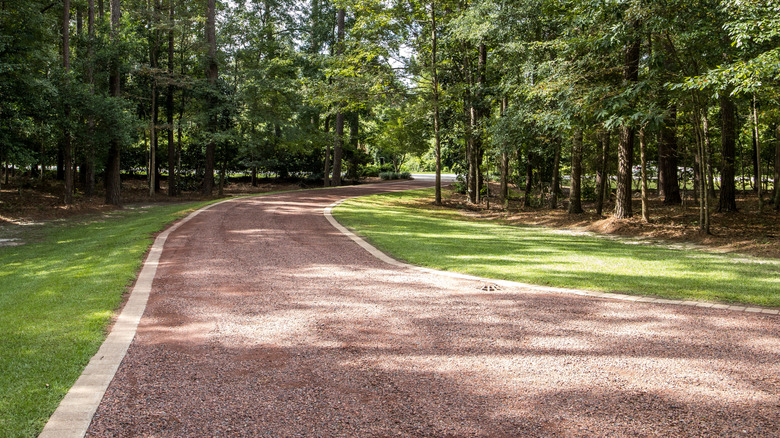 Gravel driveway through lush trees