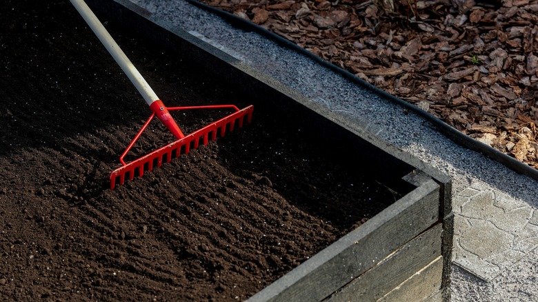 A red rake raking garden soil in a raised garden bed