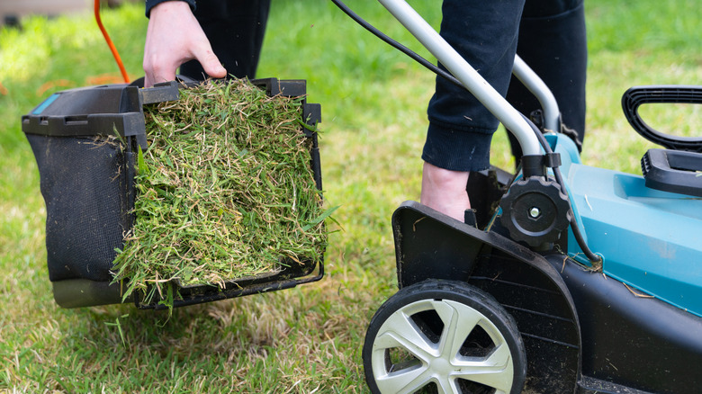 Person emptying the grass clippings from the mower