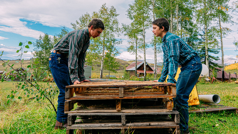 Two young men lifting pallets in a field