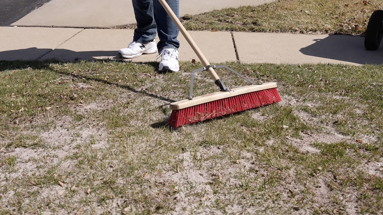 A person using a commercial push broom to spread sand into their lawn