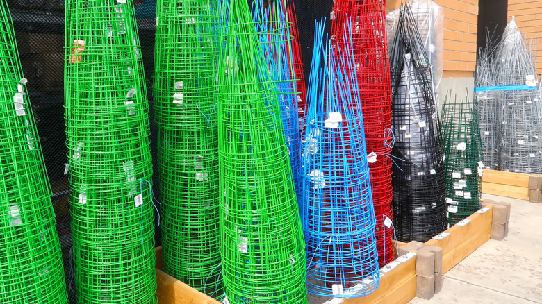 Display of colorful wire tomato cages