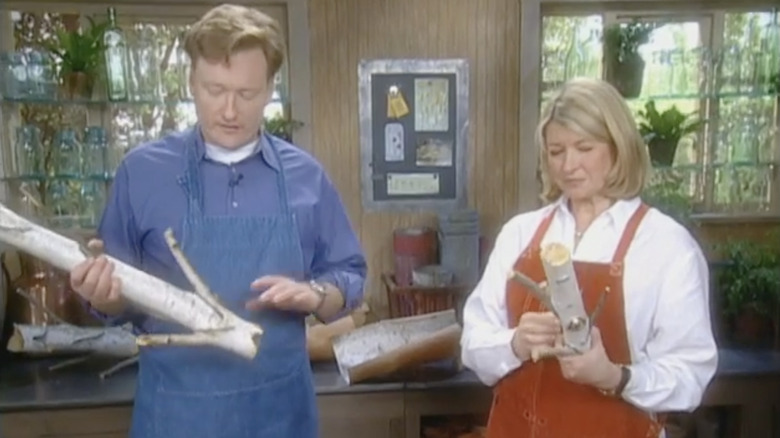 Martha Stewart and Conan O'Brien holding branches