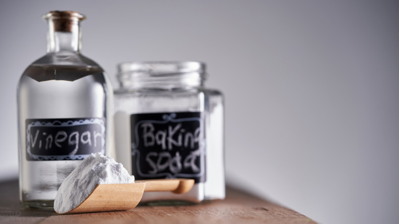 A jar of vinegar and a jar of baking soda sit behind a scoop full of baking soda