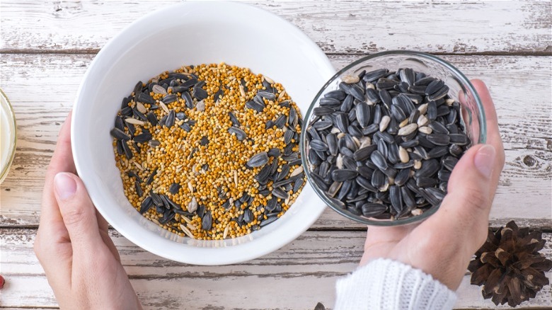 Person mixing bird seed in bowls to use for backyard feeders