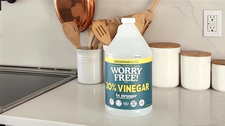 Worry Free 30% cleaning vinegar on a kitchen counter