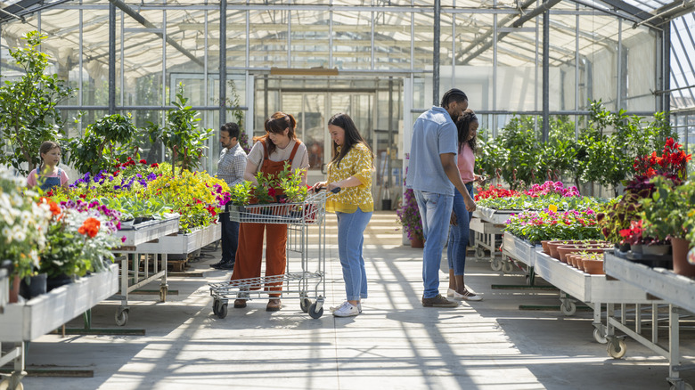 People choosing flowers and plants inside a garden center