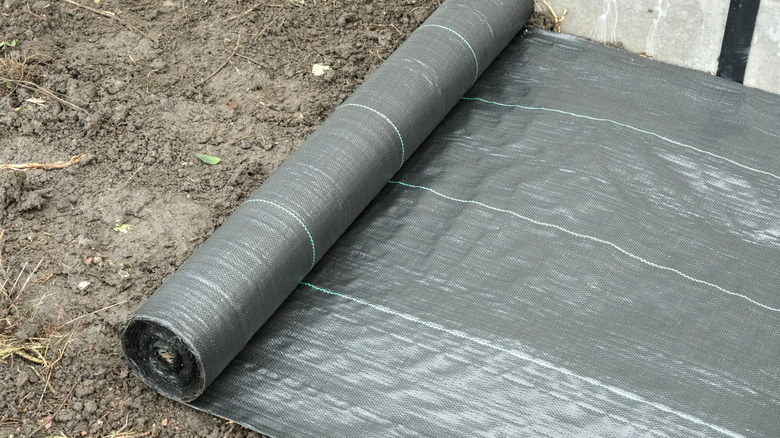 Installing a weed control fabric for a gravel driveway