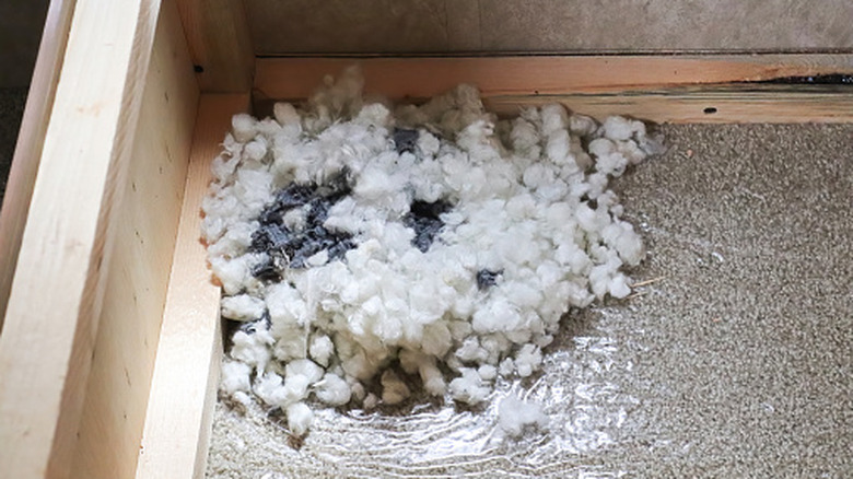 Mouse nest built in bottom of furniture