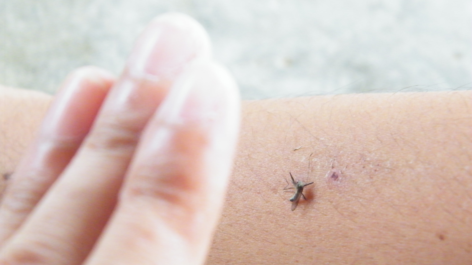Move Over, DEET: There's A Less Toxic Way To Repel Mosquitoes And Ticks