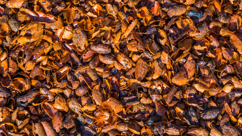 Closeup of cocoa husks mulch