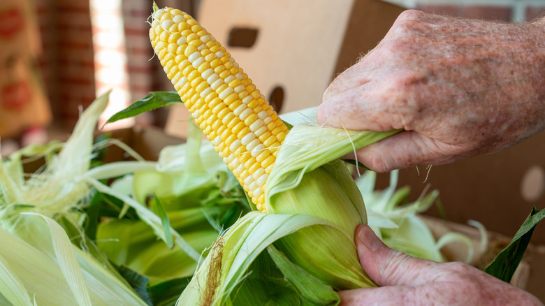 hands peeling off corn husk