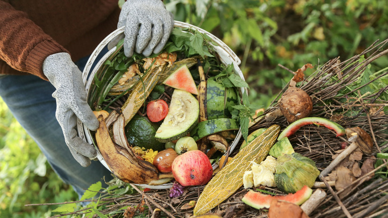 hands dumping kitchen scraps into compost