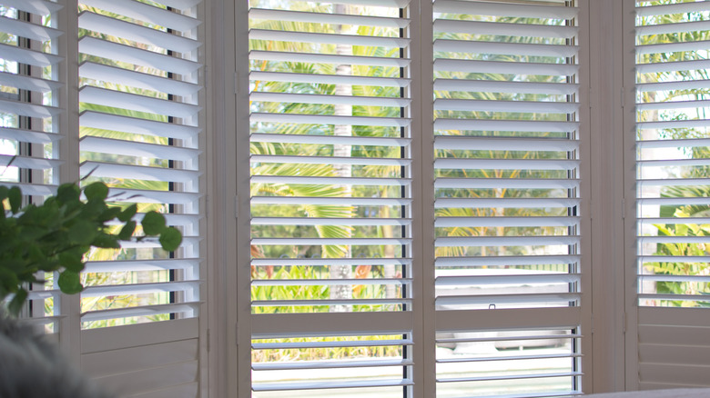 White plantation shutters