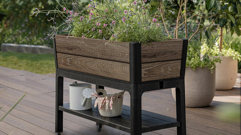 Keter's Signature rolling raised garden bed with plants