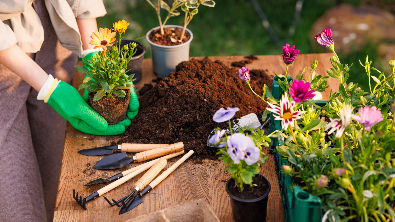 No More Bulky Planters: The Space-Saving Solution That Won't Take Over Your Deck