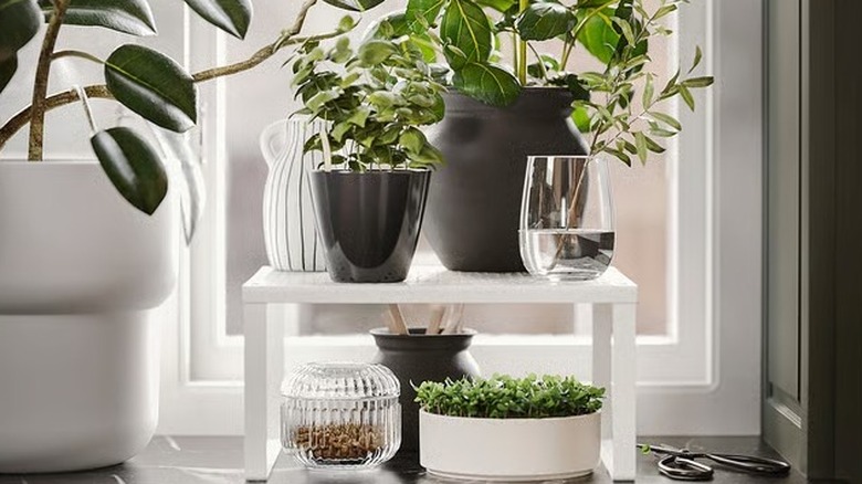 IKEA shelf insert near a window in a kitchen