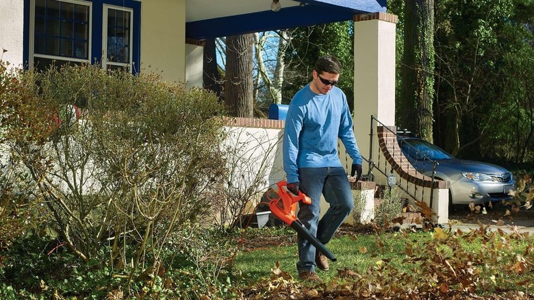 a person using a BLACK+DECKER electric leaf blower