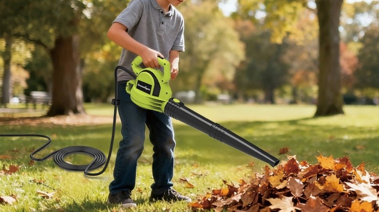 a kid holding a Grasstigon electric leaf blower