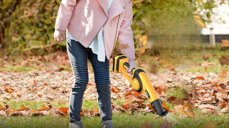 a little girl holding a Heinpro cordless leaf blower