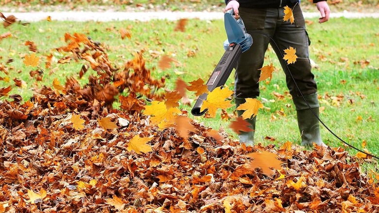 a person clearing leaves with the SENIX electric leaf blower