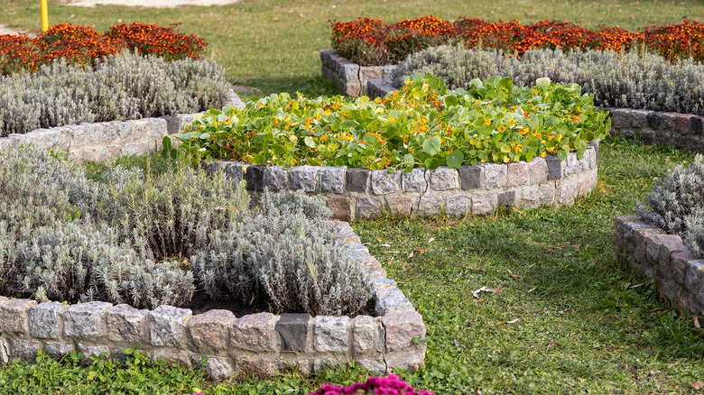Raised flower beds made of stone blocks in a yard.