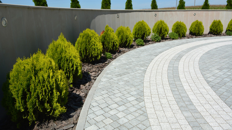 Uniquely edged modern driveway
