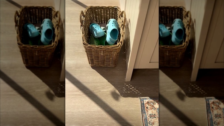 A small basket with pairs of shows inside