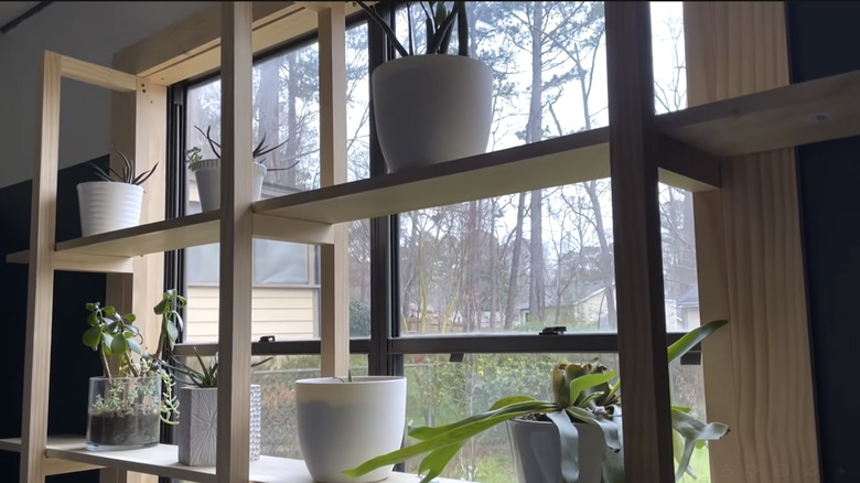 A window with additional DIY shelves in the frame for houseplants