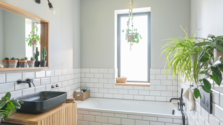 Uncovered window in plant-filled bathroom