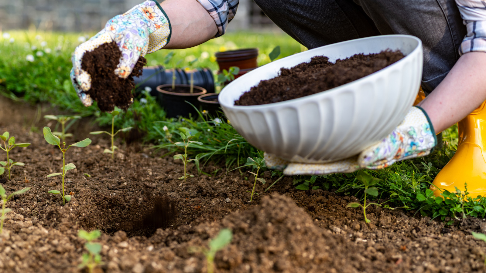 Kitchen items to add to your compost - cover