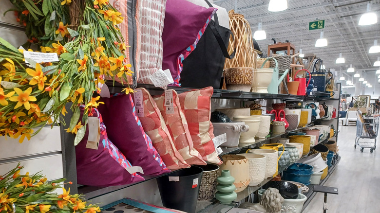 Throw pillows, plant pots, and other home goods at a store