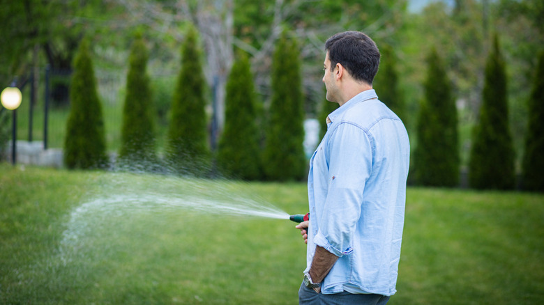 A man in a blue shirt watering a lawn with a hose