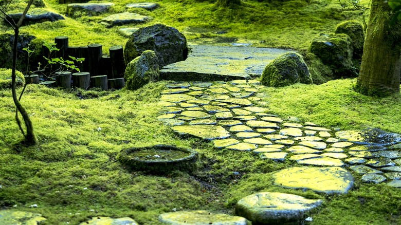 a garden with stone walkway and stone bridge covered in moss