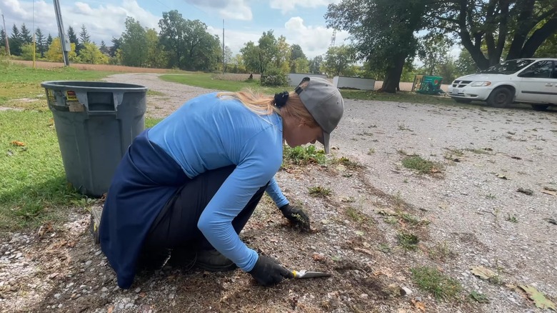 Woman hand-pulling weeds from gravel driveway with garden tools.