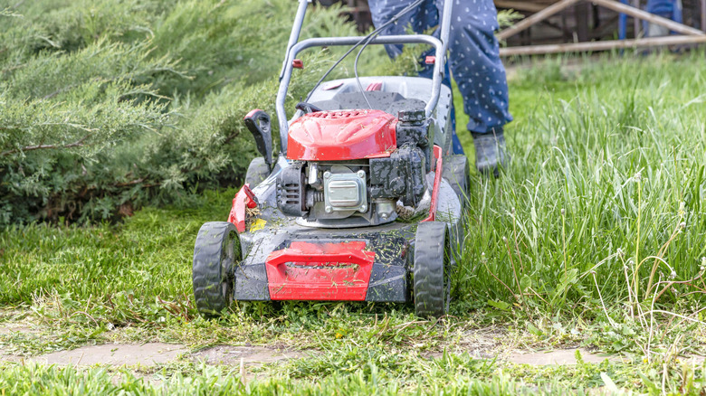 Gas-powered lawn mower cutting grass.