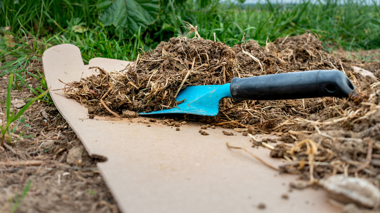 a flattened cardboard box with mulch on top of it