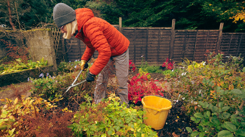 Woman tending to a flower garden in the autumn