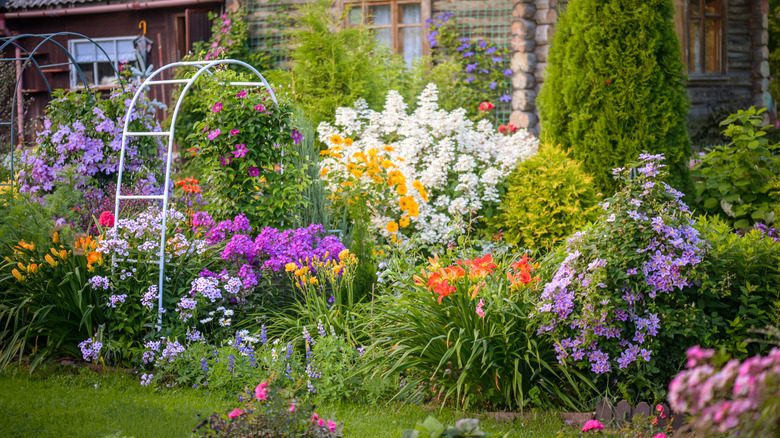 charming flower garden with various blooms