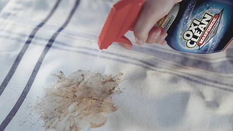 Person spraying laundry stain with OxiClean Max Force bottle