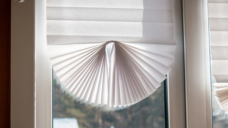 Accordian-folded paper shade in a sunny window
