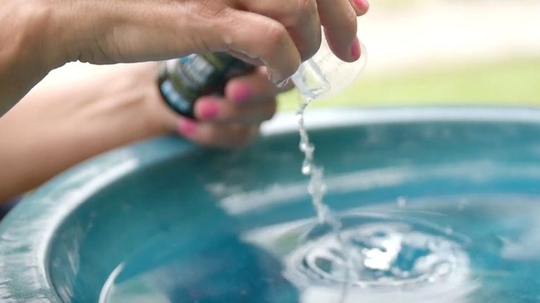 Person pouring Microbe-Lift in birdbath to keep the water clean