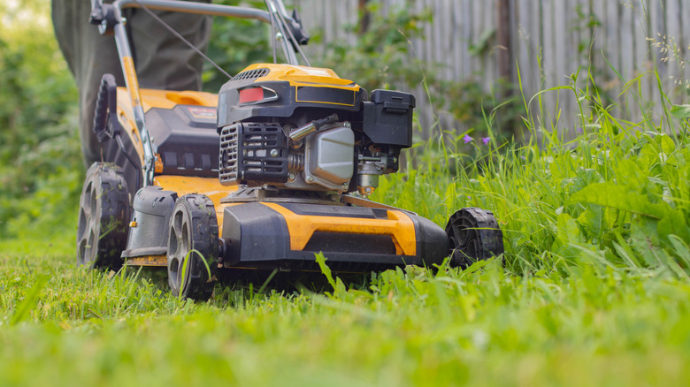 A lawn mower being pushed through grass
