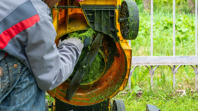 A person cleaning grass from a mower outside