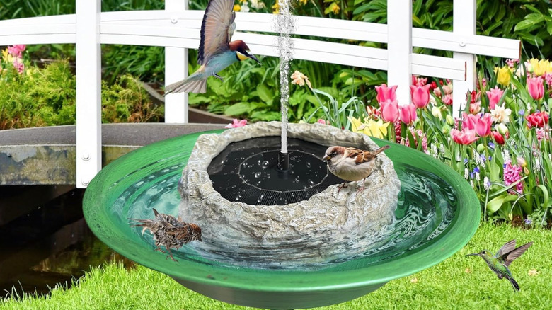 SAC SMARTEN ARTS solar fountain sitting in a bird bath and spraying water