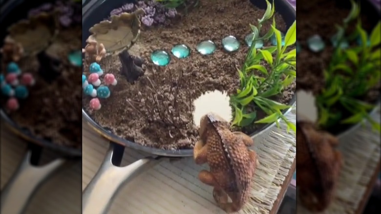 Quirky frying pan fairy garden filled with eccentric figurines =, gemstones, and aquarium plants
