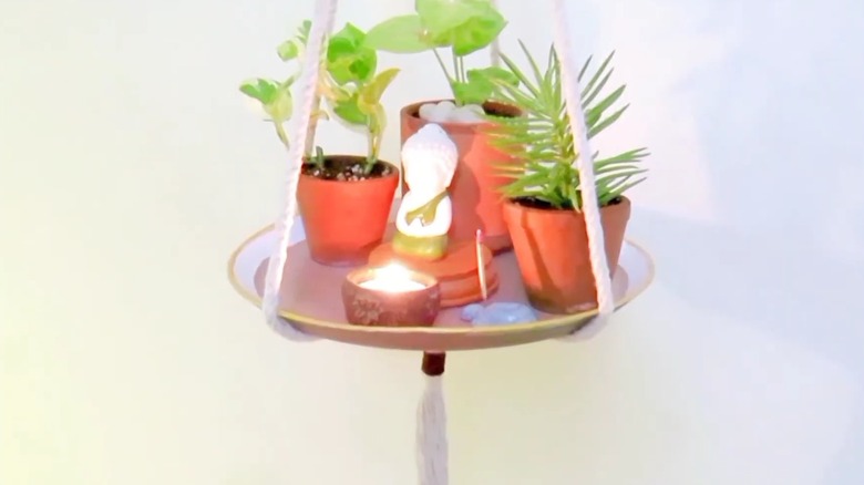 Hanging frying pan with rope hanger and assorted houseplants in starter pots