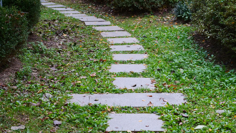 A walkway made from pavers in a yard
