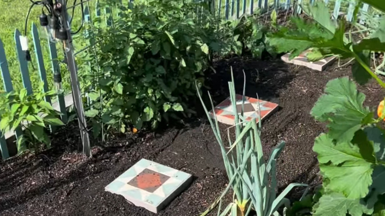 Painted stepping stones in a vegetable garden