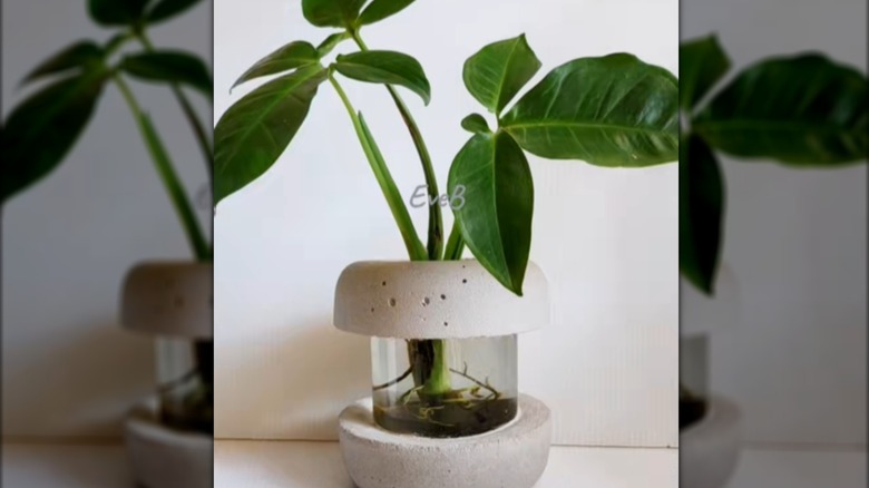 A pickle jar turned into a vase with rings of cement at the top and bottom